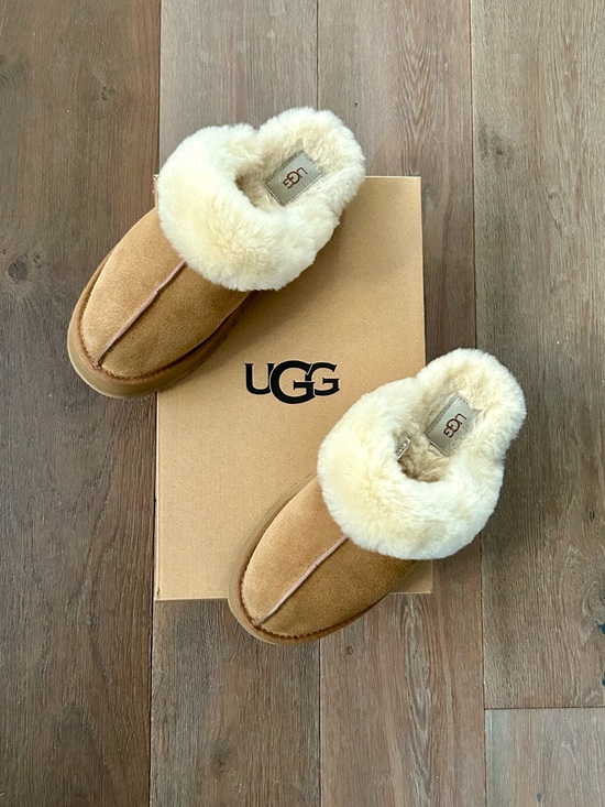 UGG Shoes - UGG Women's Disquette Slippers Chestnut